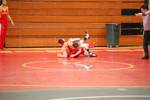 Picture 003.jpg